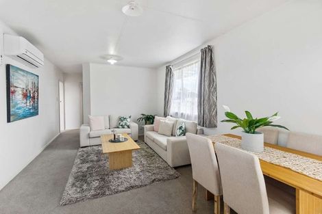 Photo of property in 21 Eliot Street, Enderley, Hamilton, 3214