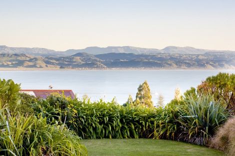 Photo of property in Mchardy Homestead, 11 Bracken Street, Hospital Hill, Napier, 4110