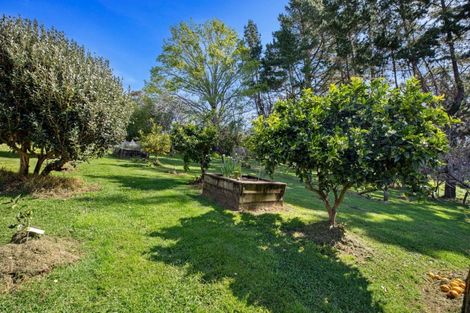 Photo of property in 213 Kauri Point Road, Tahawai, Katikati, 3170