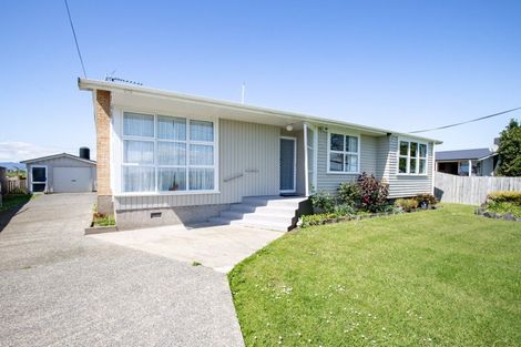 Photo of property in 100 Pipiroa Road, Ngatea, 3503