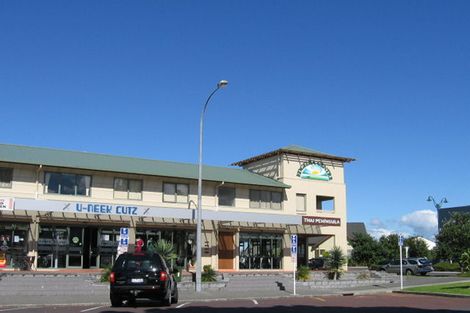 Photo of property in 72 Gunner Drive, Te Atatu Peninsula, Auckland, 0610