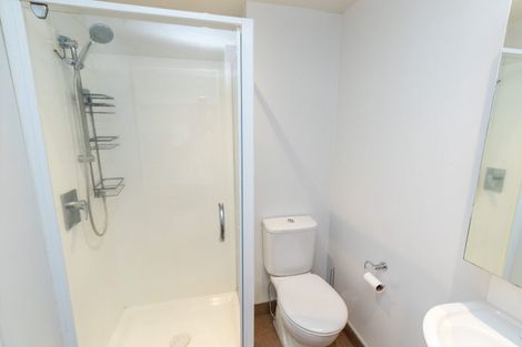 Photo of property in Soho Apartments, 113/74 Taranaki Street, Te Aro, Wellington, 6011