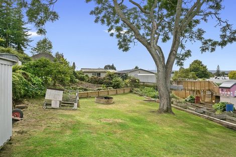 Photo of property in 17 Bexhill Terrace, Tirau, 3410