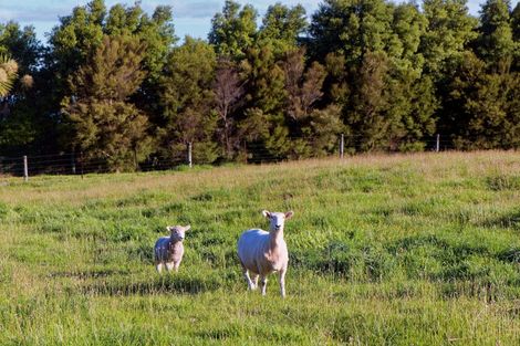 Photo of property in 194 Parsons Road, Hapuku, Kaikoura, 7371