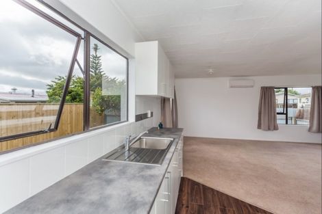 Photo of property in 100b Mako Mako Road, Levin, 5510