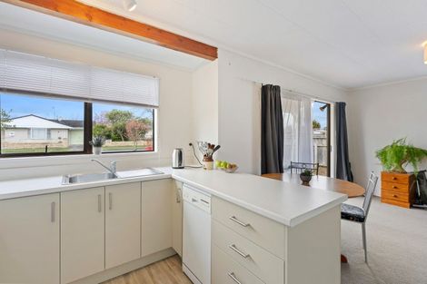 Photo of property in 93 Parker Avenue, Levin, 5510