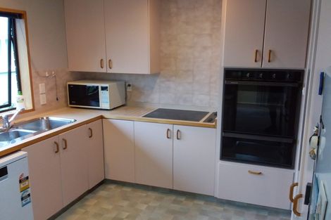 Photo of property in 3 Merlin Street, Roslyn, Dunedin, 9010