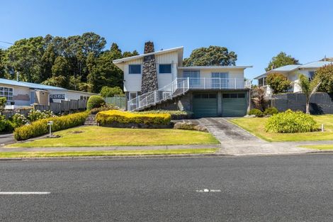 Photo of property in 29 Awanui Street, Merrilands, New Plymouth, 4312