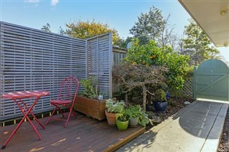 Photo of property in 53c Renall Street, Masterton, 5810