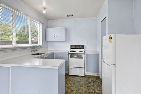 Photo of property in 61 Kenney Crescent, Fairfield, Hamilton, 3214