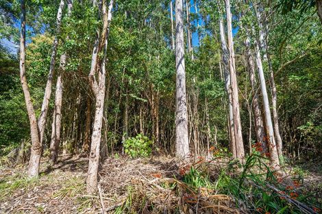 Photo of property in 1 Wilson Street, Te Aroha, 3320