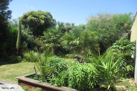 Photo of property in 36 Burke Street, Addington, Christchurch, 8024