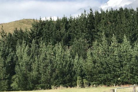 Photo of property in 487 Whangamata Road, Kinloch, Taupo, 3377