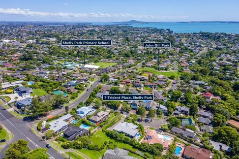 Photo of property in 7 Trident Place, Shelly Park, Auckland, 2014