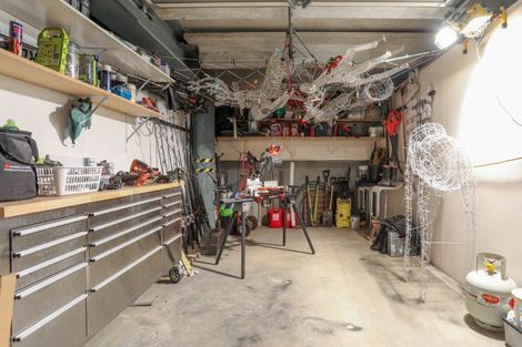Photo of property in 1/6d Durham Street, Tauranga, 3110