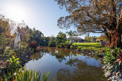 Photo of property in 849a Makerua Road, Tokomaru, Palmerston North, 4474