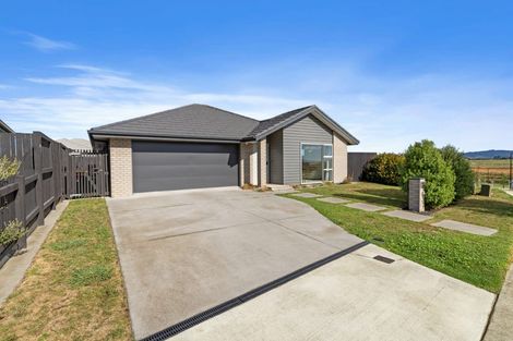 Photo of property in 17 Morrin Street, Morrinsville, 3300