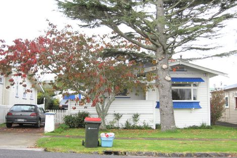 Photo of property in 14 Harlston Road, Mount Albert, Auckland, 1025