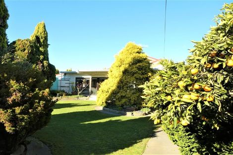 Photo of property in 206 Willowbank Avenue, Meeanee, Napier, 4183