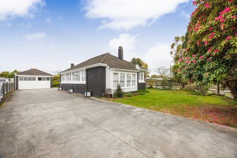 Photo of property in 110 Limbrick Street, Terrace End, Palmerston North, 4410