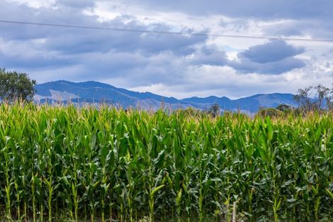 Photo of property in 2520 State Highway 2, Ahikouka, Greytown, 5794