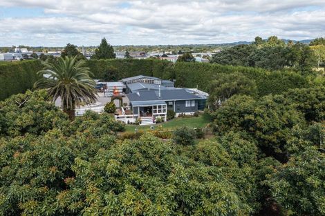 Photo of property in 13 Ronalds Lane, Te Puke, 3187
