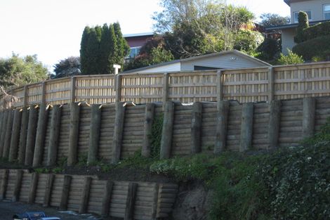 Photo of property in 57 Tanner Street, Havelock North, 4130