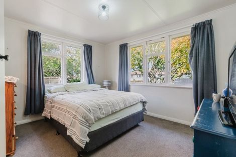 Photo of property in 38 Douglas Crescent, Fairfield, Hamilton, 3214