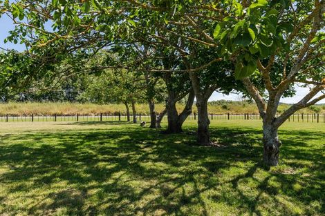 Photo of property in 1156 Matawai Road, Ormond, 4071