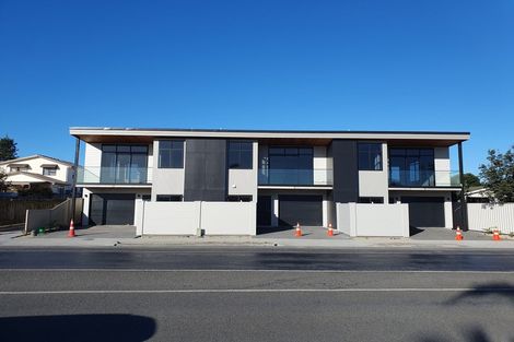 Photo of property in 208a Te Awa Avenue, Awatoto, Napier, 4110