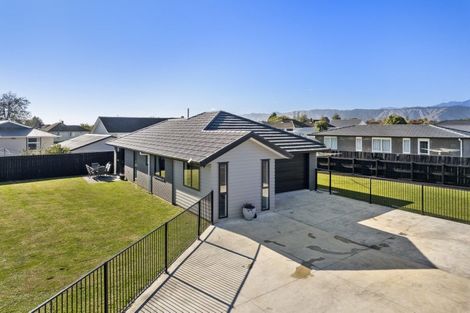 Photo of property in 68 Hinemoa Street, Levin, 5510