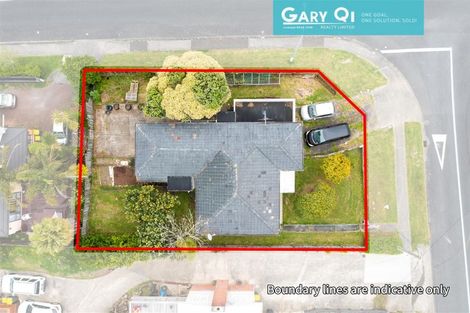 Photo of property in 50 Routley Drive, Glen Eden, Auckland, 0602