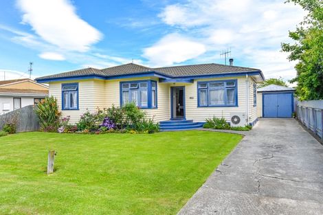 Photo of property in 802 Lane Street, Mahora, Hastings, 4120