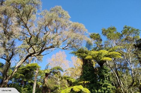 Photo of property in 32 Odey Road, Whakamarama, Tauranga, 3179