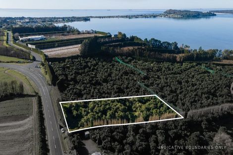 Photo of property in 229 Athenree Road, Athenree, Waihi Beach, 3177