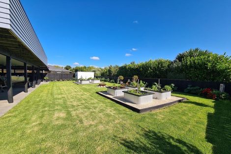 Photo of property in 12 Haden Place, Omokoroa, 3114