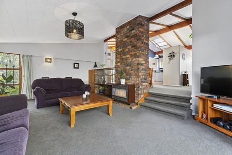 Photo of property in 38 Wake Street, Chartwell, Hamilton, 3210