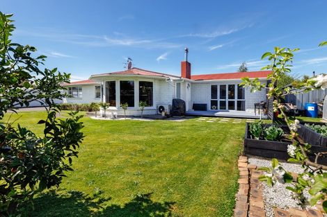 Photo of property in 22 Brook Street, Renwick, 7204