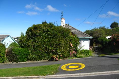 Photo of property in 211 Burt Street, Wakari, Dunedin, 9010