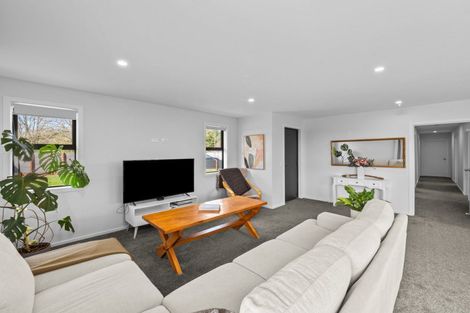 Photo of property in 20 David Street, Hinds, Ashburton, 7773