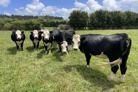 Photo of property in 40 Brookvale Lane, Taupaki, Henderson, 0782