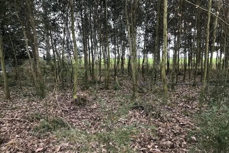 Photo of property in 53 Morven Beach Road, Morven, Waimate, 7980