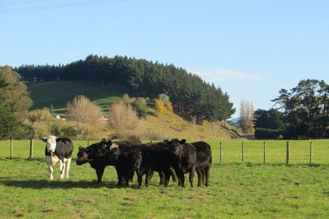 Photo of property in 3245 State Highway 2, Takapau, Waipukurau, 4281