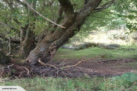 Photo of property in 524 Hayland Road, Okuku, 7473