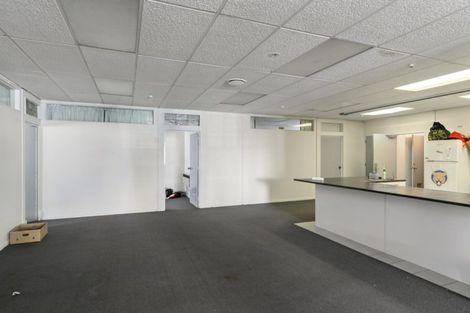 Photo of property in 8b Lipman Street, Mount Victoria, Wellington, 6011