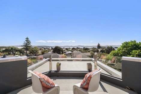 Photo of property in 203 Muritai Road, Eastbourne, Lower Hutt, 5013