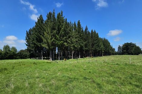 Photo of property in 107 Glendhu Road, Mataura, Gore, 9774