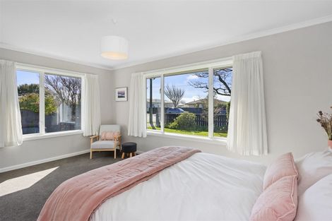 Photo of property in 99 Isleworth Road, Bishopdale, Christchurch, 8053