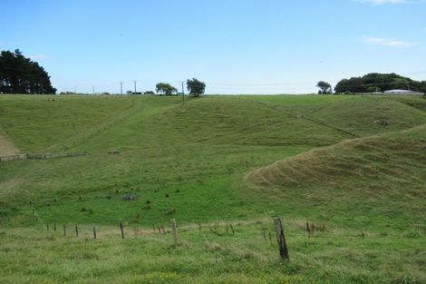 Photo of property in 81 Lindsay Road, Levin, 5510