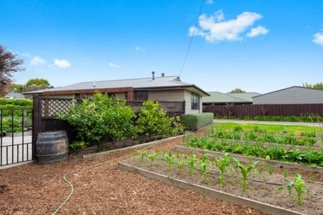 Photo of property in 25 Anglesea Street, Renwick, 7204